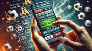 Pengalaman bermain sportsbook, slot online, dan live casino di qqhok, platform pilihan Indonesia